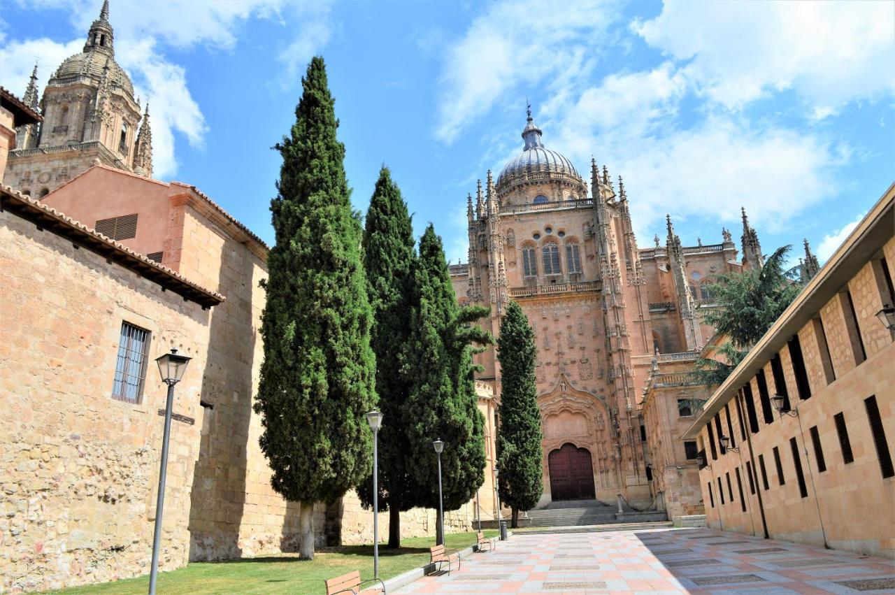 Vivienda Bajo Cubierta En Plaza Poeta Iglesias Apartment Salamanca Bagian luar foto